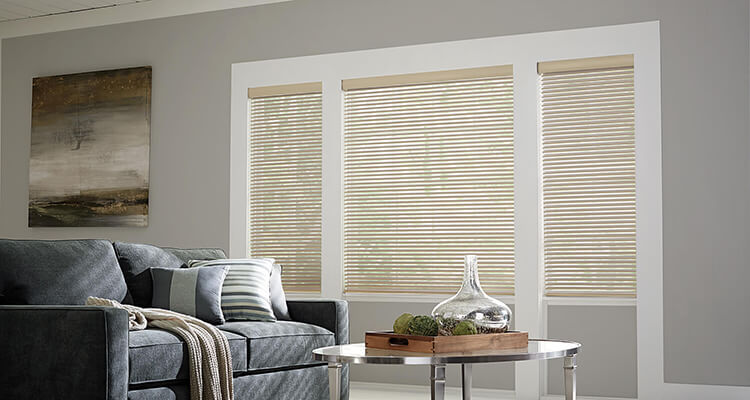 sheer window blinds